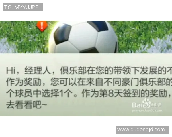 二选一足球球星实力对比榜单揭晓谁才是最佳球员之选